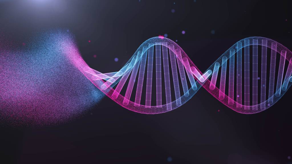 Teste de ancestralidade realmente funciona? Geneticista revela