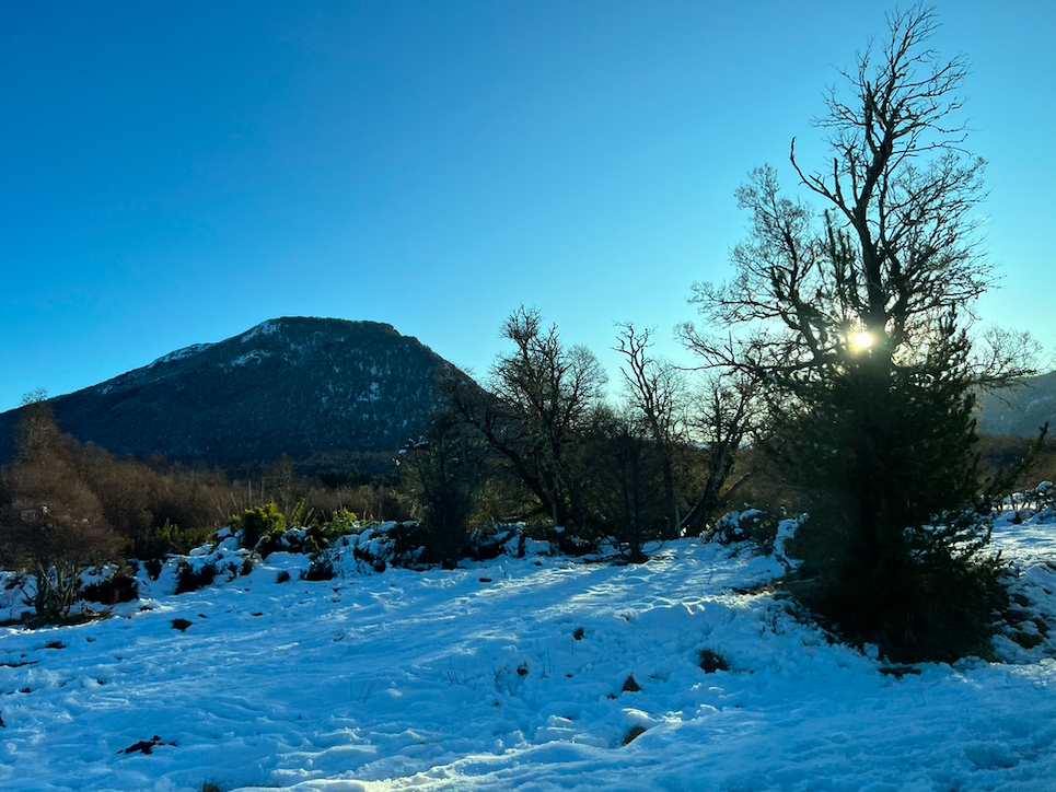 Por uma sustentabilidade que pense a natureza como expressão do feminino
