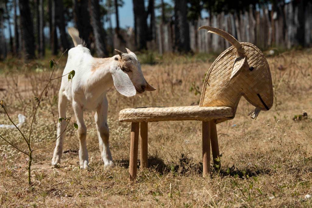 Criatividade brasileira: uma seleção de banquinhos feitos por artesãos