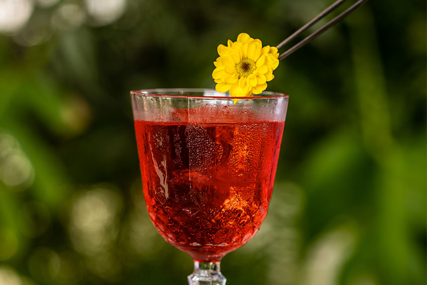 Aprenda a fazer um drink com gim e framboesa