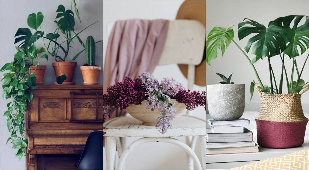 Veja dicas para montar um jardim de vasos e floreiras
