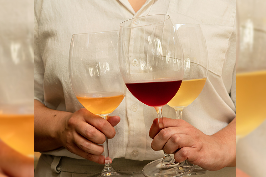 3 dicas de vinhos frescos e ideais para a primavera