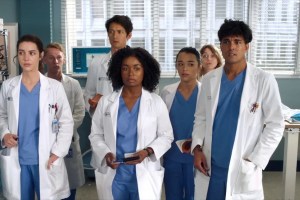 Elenco da 19ª temporada de Grey's Anatomy.