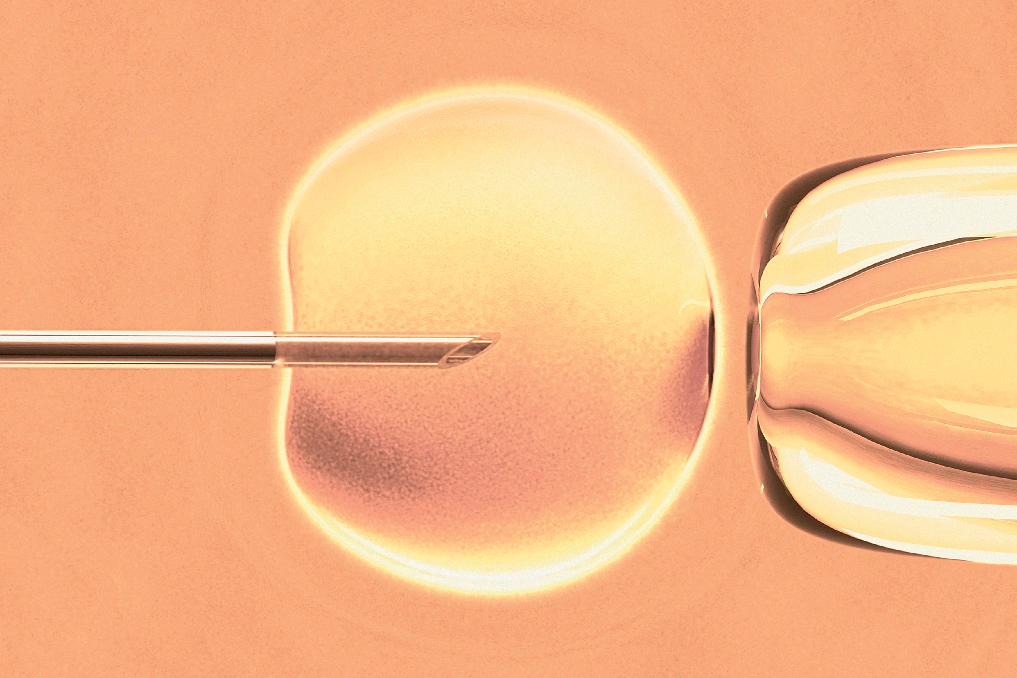 Para mulheres at&eacute; os 35 anos, a taxa de sucesso do congelamento &eacute; de a taxa de sucesso &eacute; de 70% a 75%.