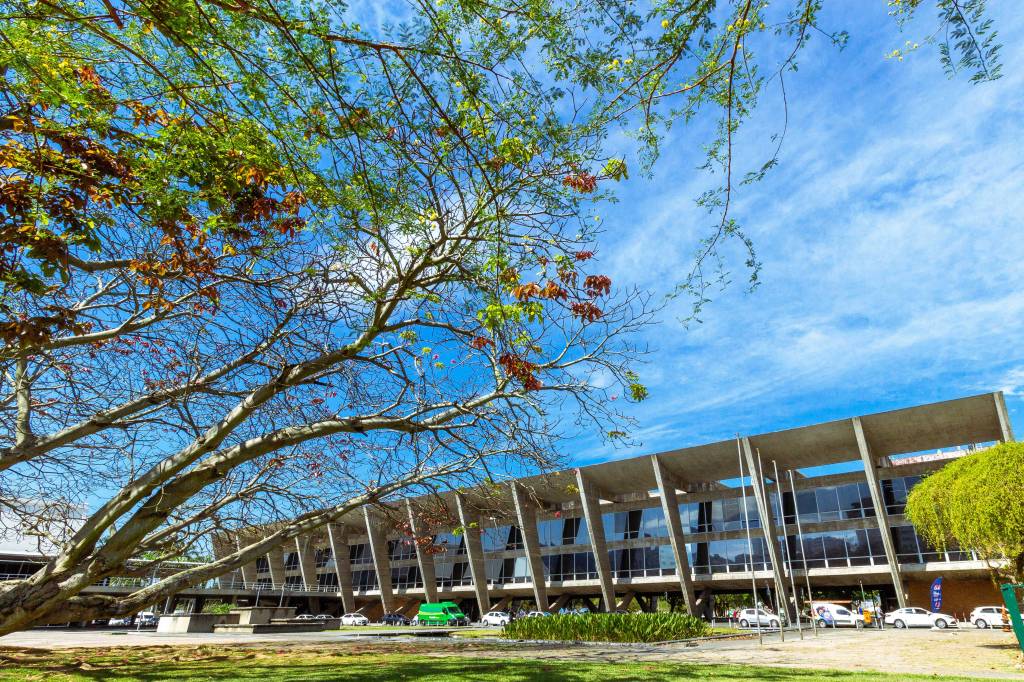 Os jardins do MAM-RJ: conheça mais sobre o projeto de Burle Marx