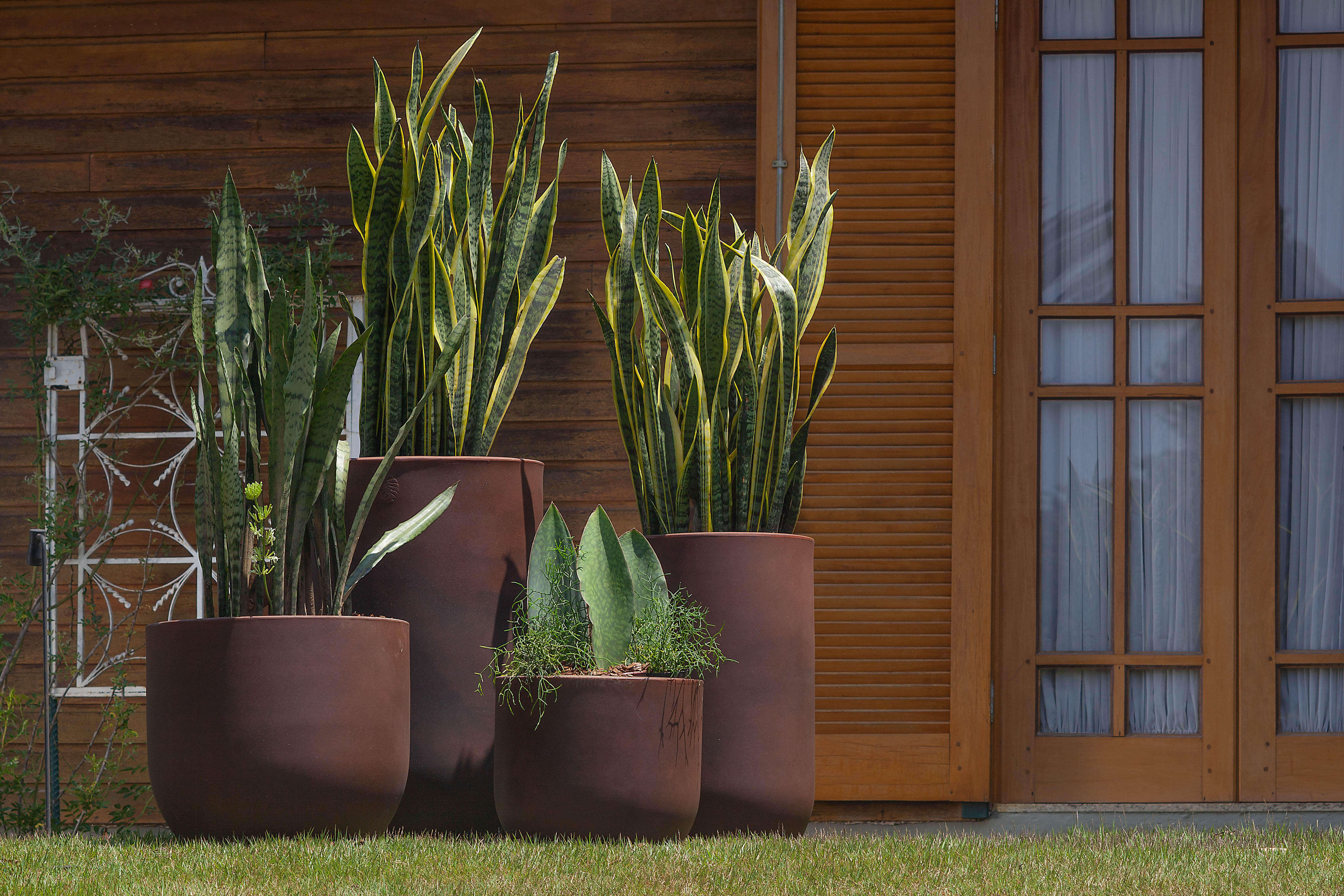 Como cuidar das plantas no outono