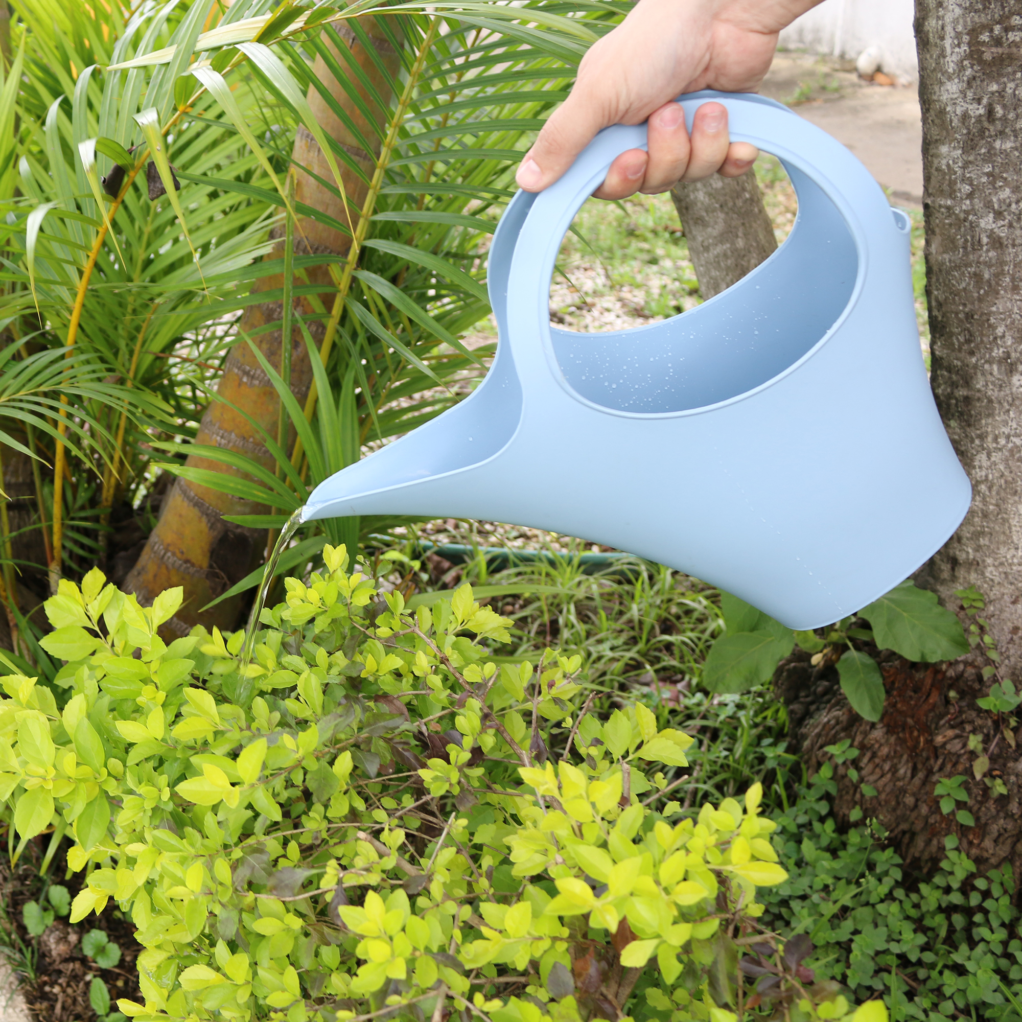 Durante o outono a rega das plantas deve ser diminu&iacute;da