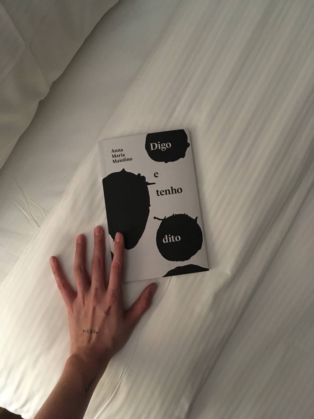 “Digo e Tenho Dito”, de Anna Maria Maiolino