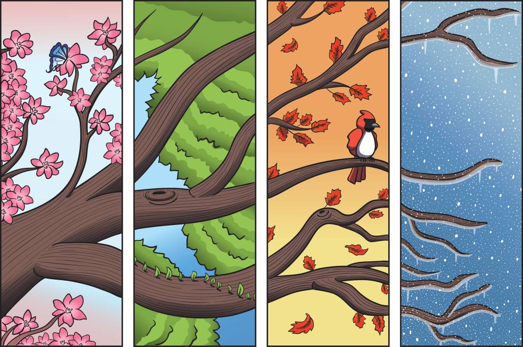 Entenda como as estações do ano influenciam a sua vida amorosa