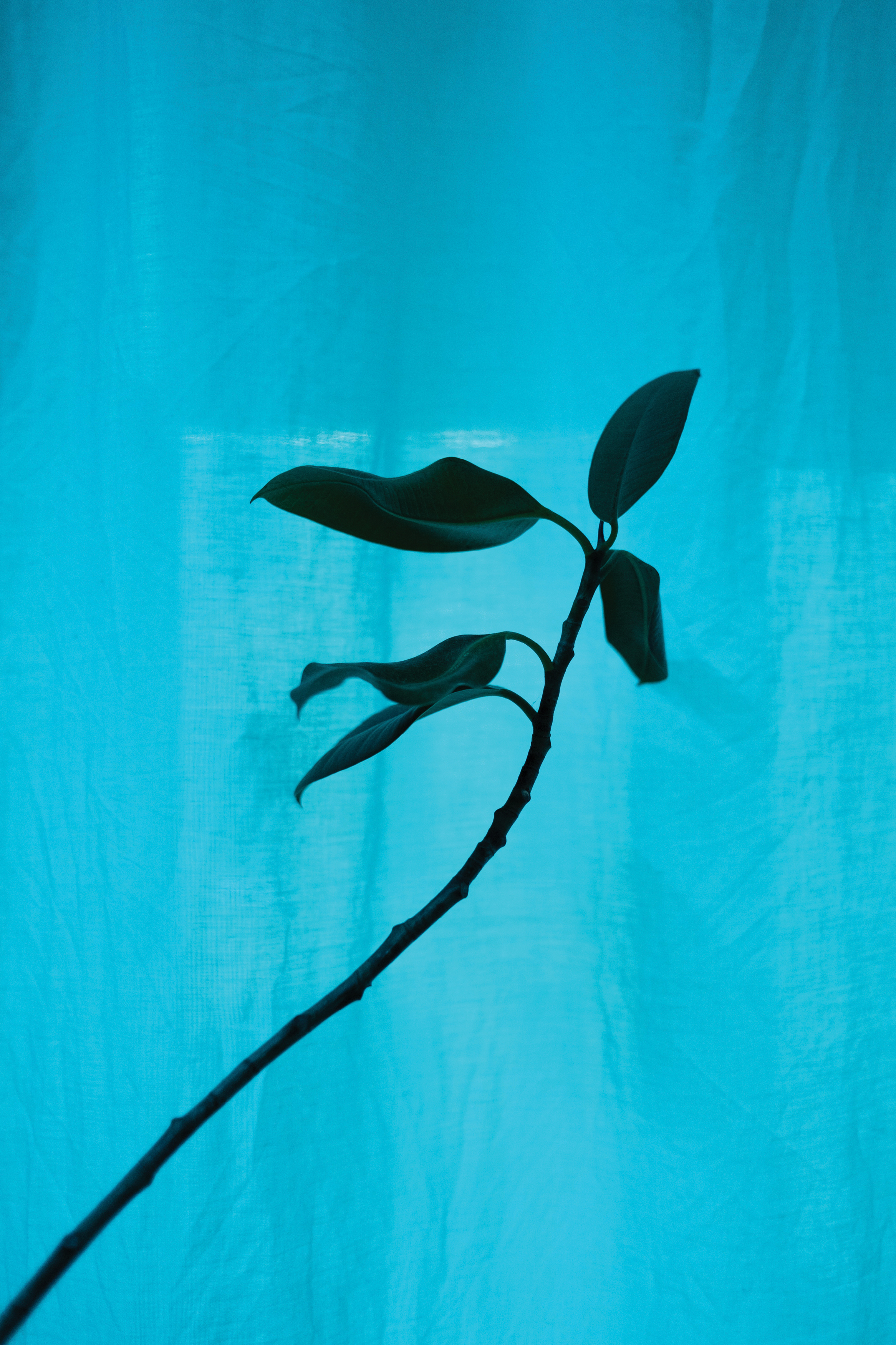 Sobre Poder e controle: Viol&ecirc;ncia patrimonial priva as mulheres de autonomia e recursos para viver