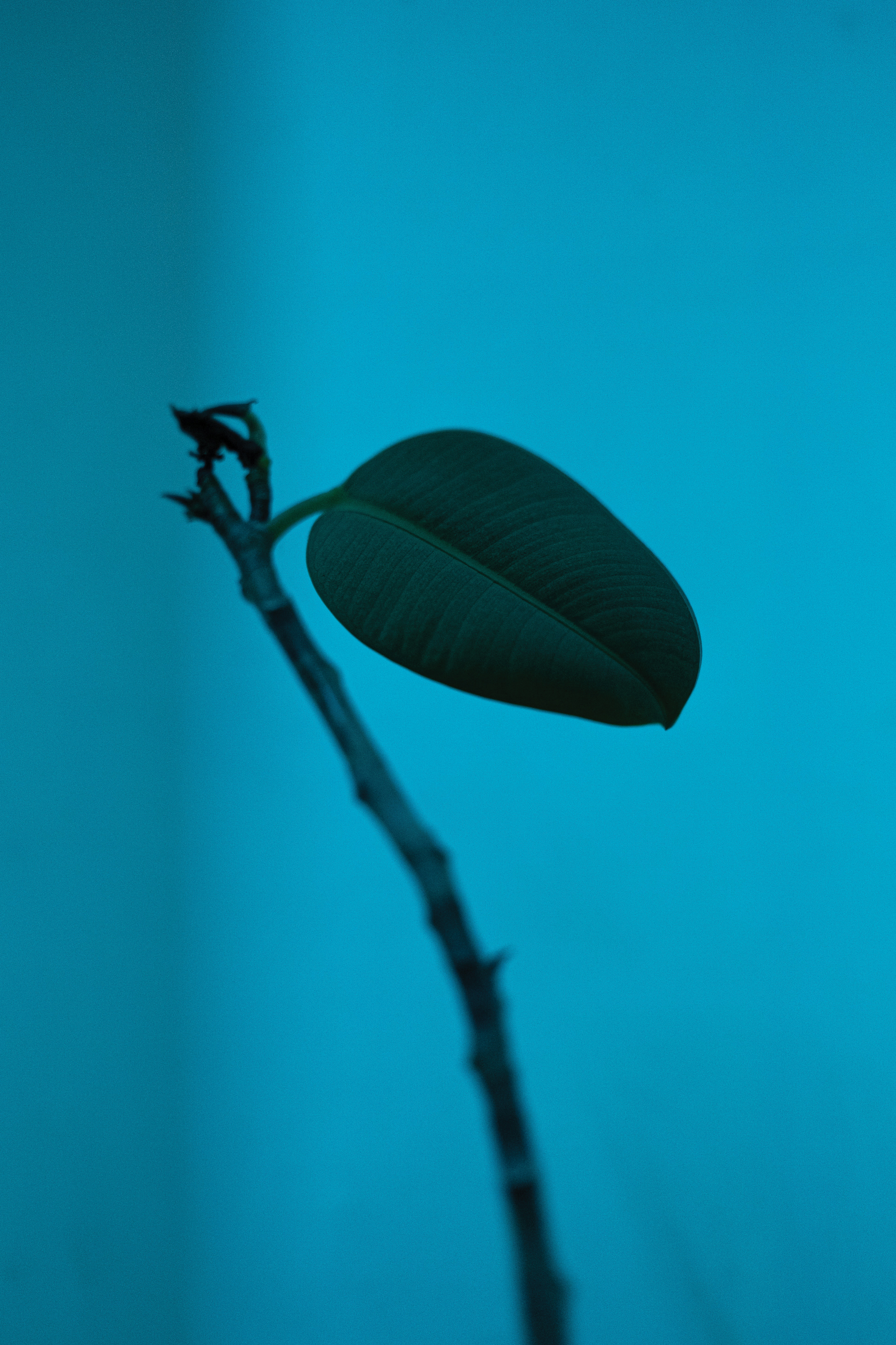 Sobre Poder e controle: Viol&ecirc;ncia patrimonial priva as mulheres de autonomia e recursos para viver