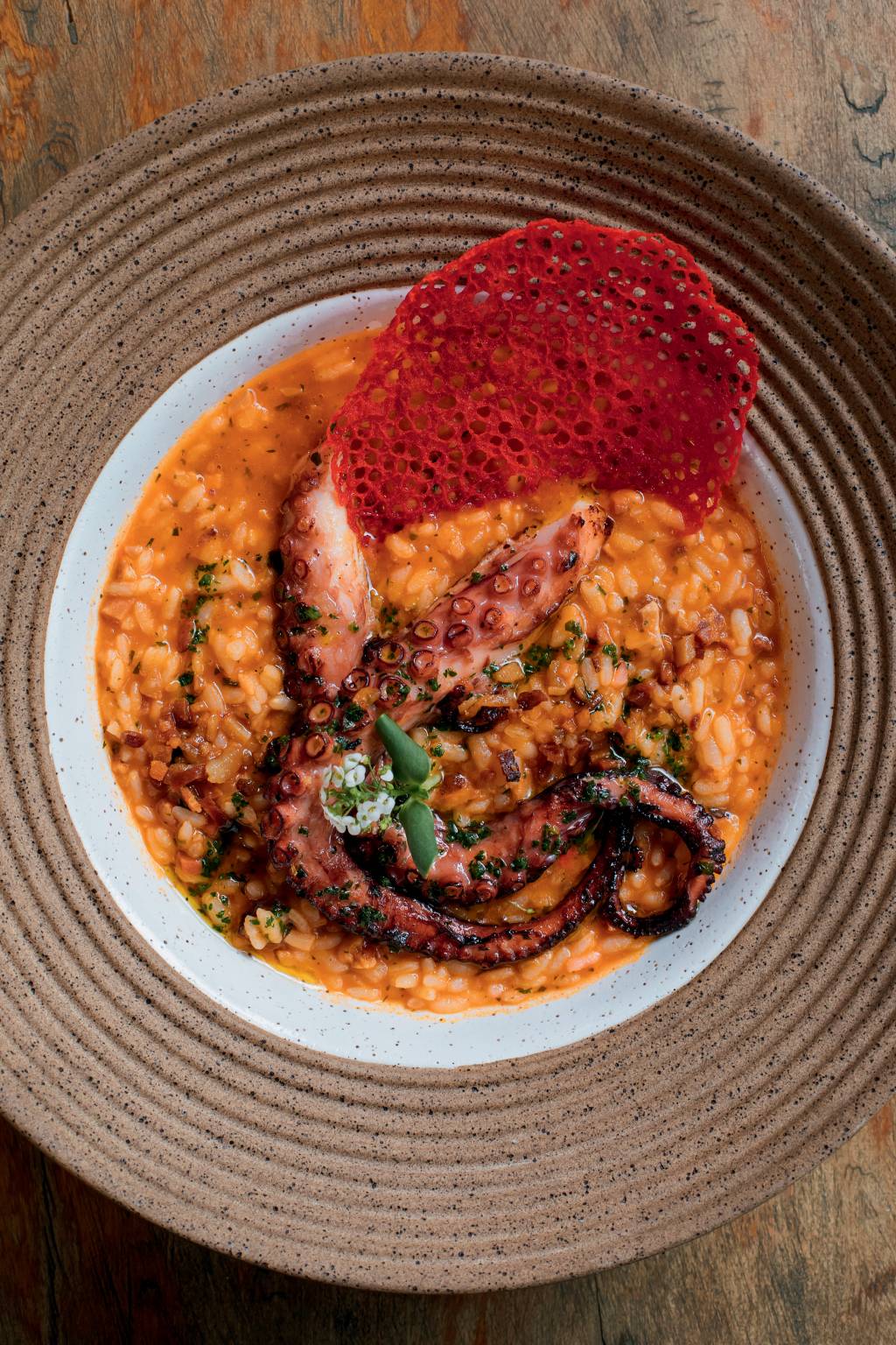 Polvo com arroz caldoso – Atto Restaurante Polvo com arroz caldoso