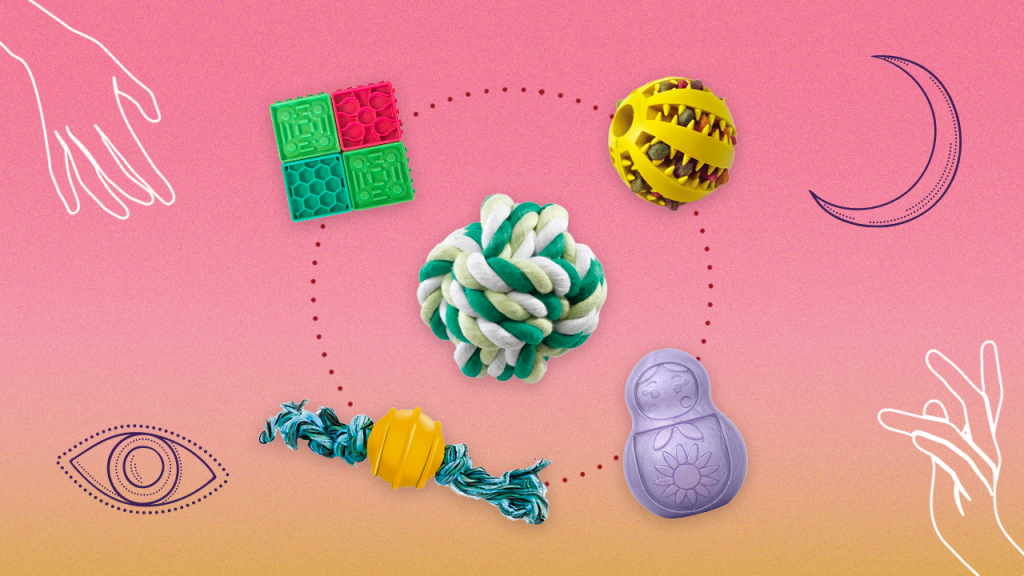 Enriquecimento ambiental: brinquedos para os seus pets