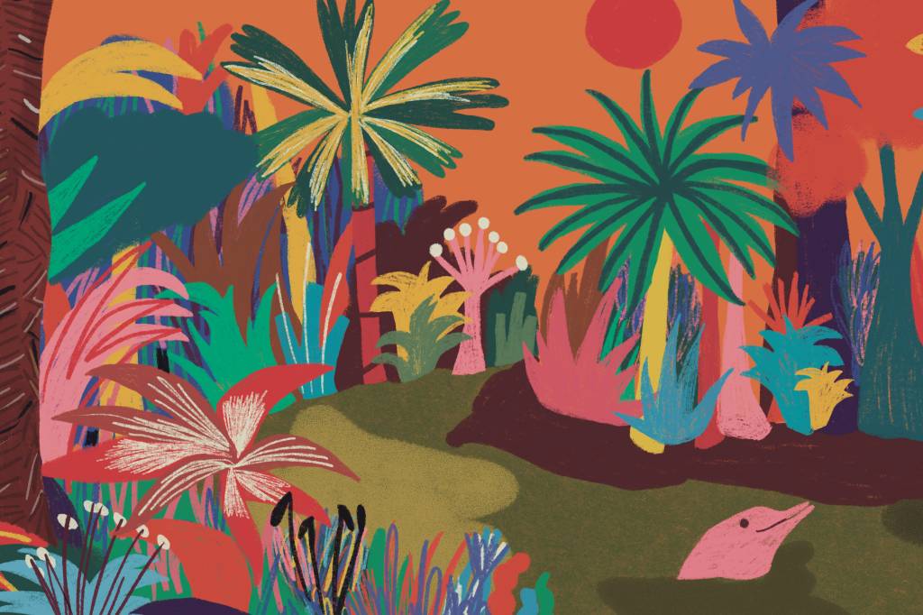 Mulheres da Reserva Chico Mendes e seu papel no extrativismo do látex