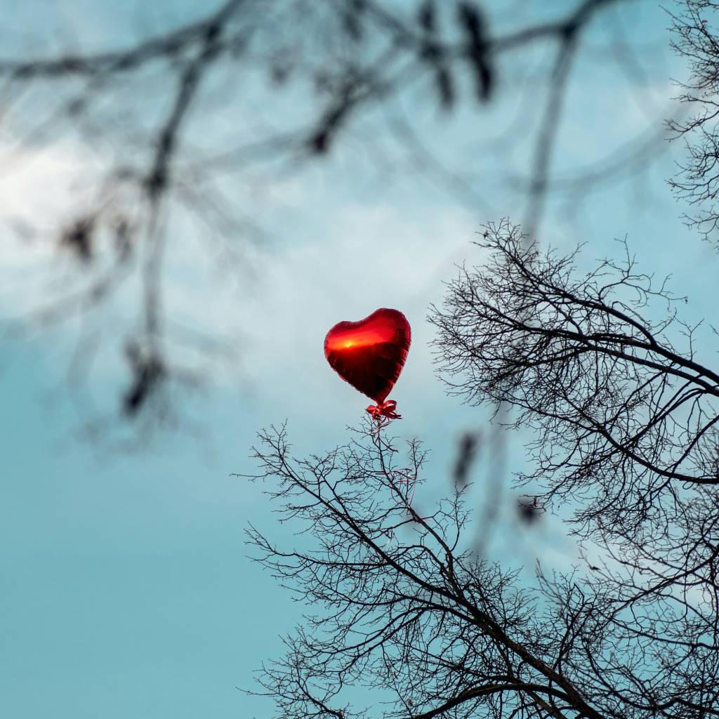 SENIOR SOBER: um detox de homem na maturidade