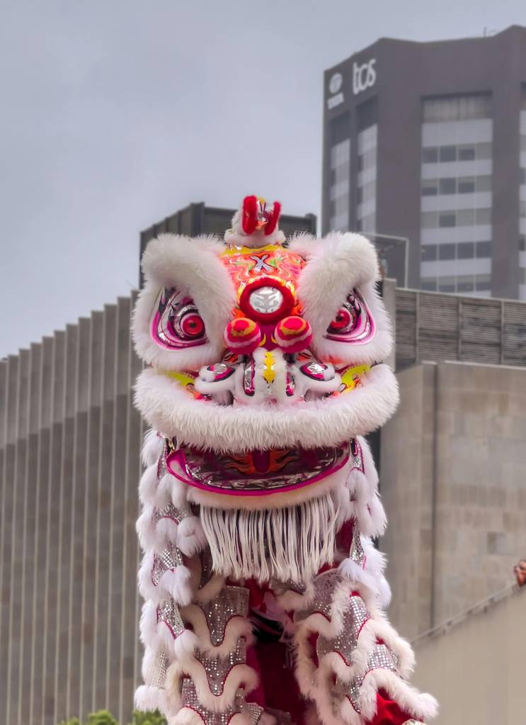 elementos-astrologia-chinesa-Dragão-animal-de-2024 elementos-astrologia-chinesa-Dragão-animal-de-2024