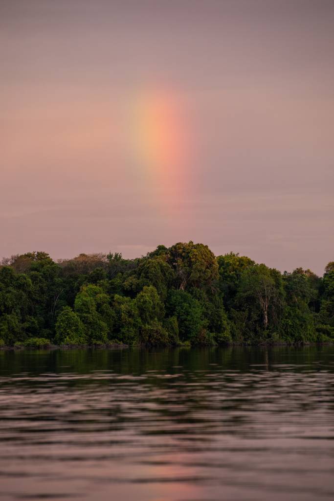 Floresta Amazônica – Rio Negro