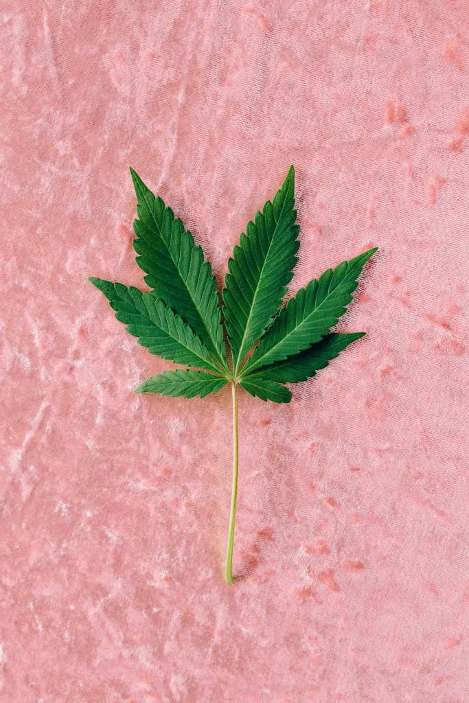 Lubrificante de cannabis: o que é óleo vaginal com venda ilegal no Brasil