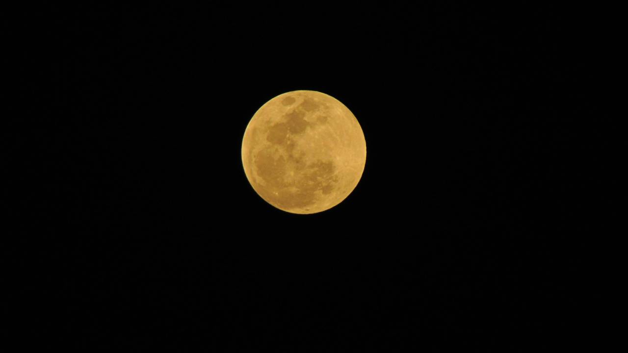 Horóscopo da semana de 10 a 16 de fevereiro: Lua Cheia se aproxima e muda tudo para ps signos