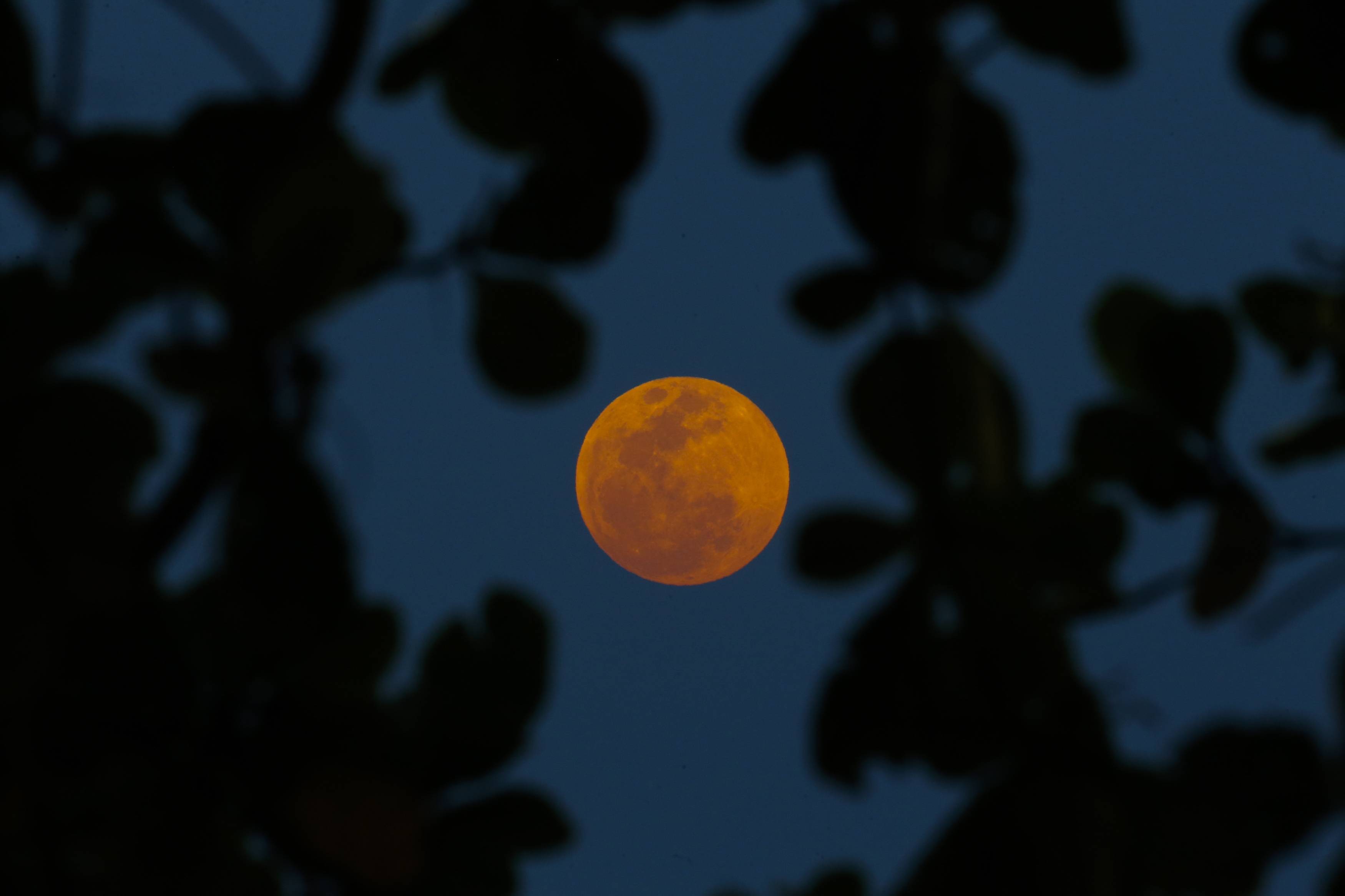Lua de Sangue nesta sexta: o que ela revela espiritualmente?