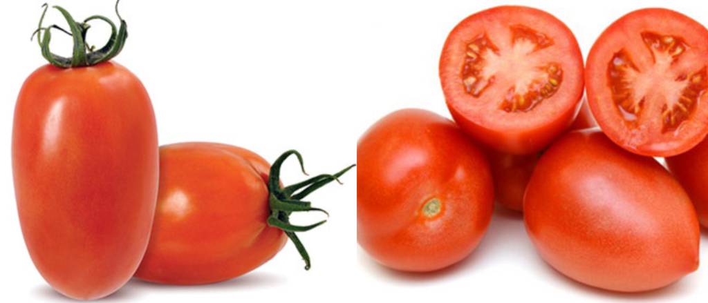 molho-de-tomate-perfeito-tipos-de-tomate Tomate italiano e tomate Débora são os mais indicados para fazer molho de tomate caseiro