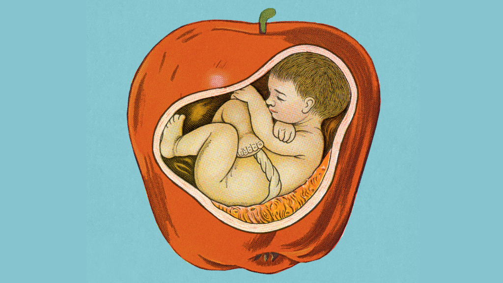 “Minha amiga gerou o meu bebê”