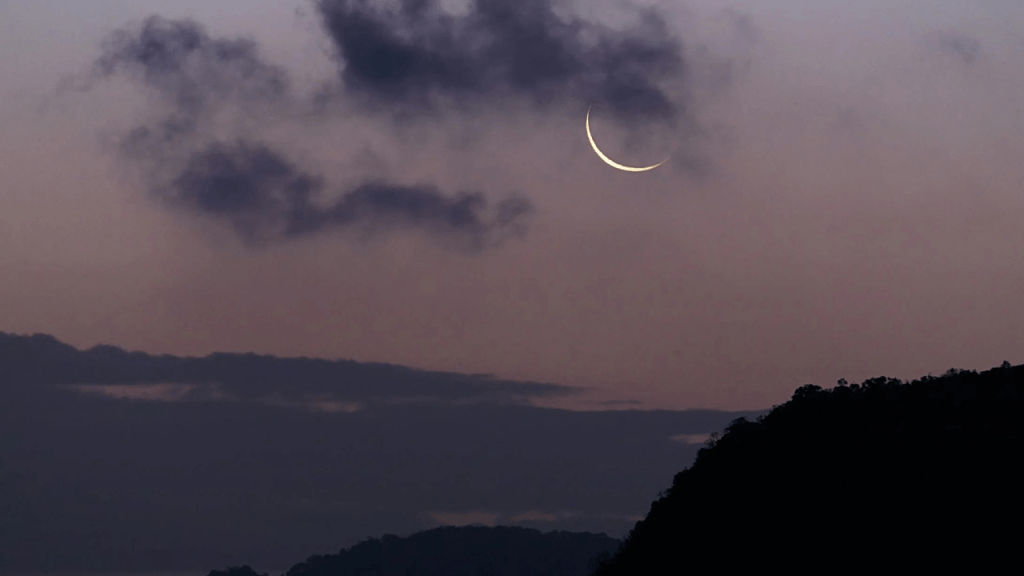 A lua nova é ideal para cortes radicais