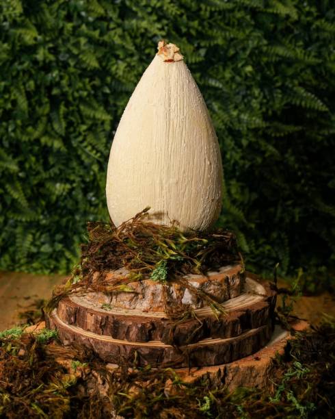 Ovo de Páscoa de Maracujá e Mel, ARA	Restaurante de Sobremesas 350g - R$ 189