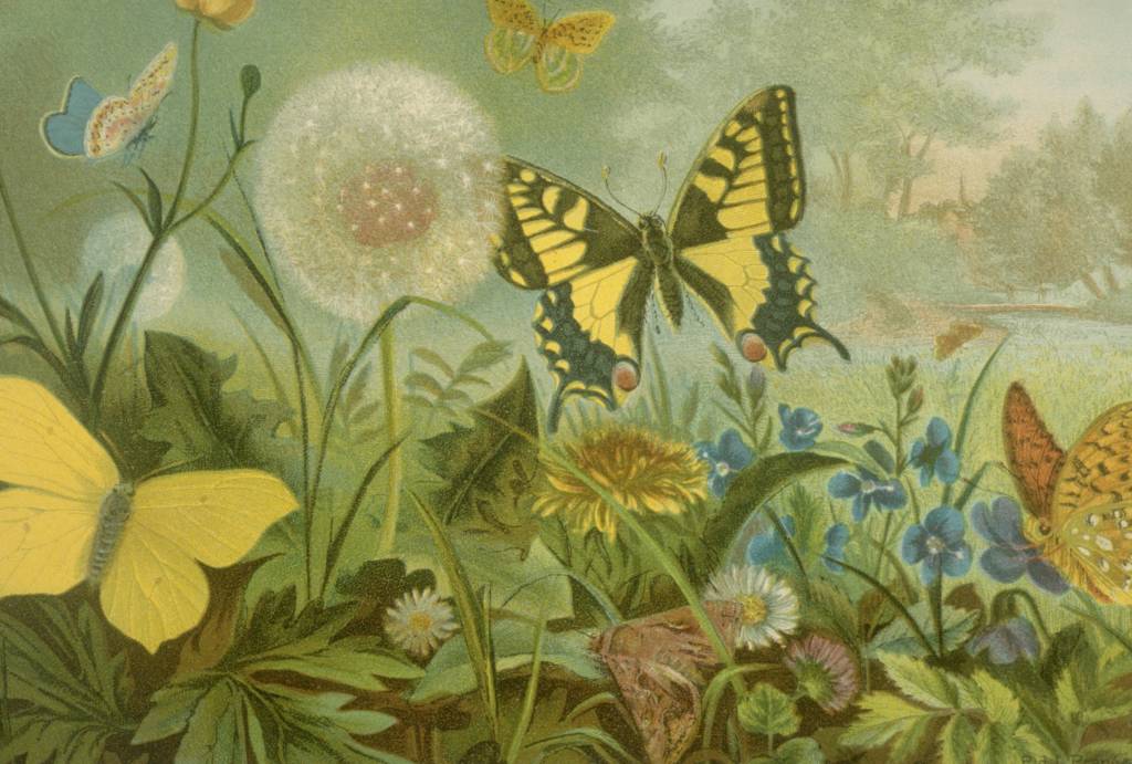 A libertação de ser ridícula