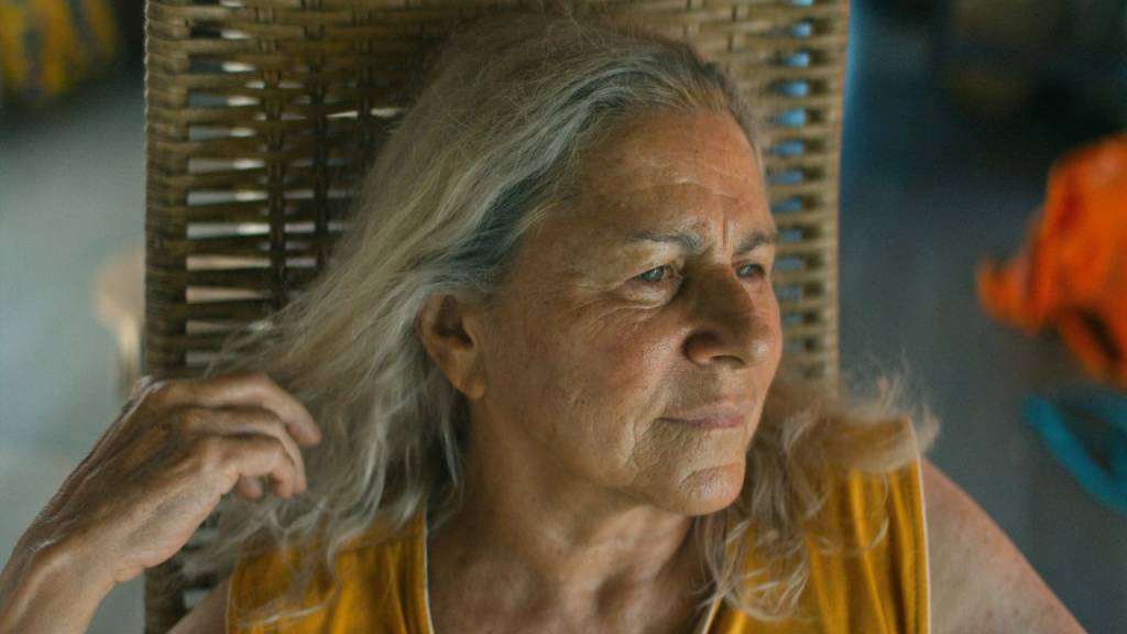 Em um Brasil distópico, o governo transfere idosos a uma colônia habitacional para que ali passem seus últimos anos de vida e não preocupem os filhos a ponto de impedir sua rotina produtiva. Acontece que, quem vai para lá, nunca mais é visto. Com medo do futuro, Tereza, que já passou dos 70 anos, se recusa a perder a autonomia e embarca em uma jornada pelos rios da Amazônia em busca de realizar seu sonho: viajar de avião. 