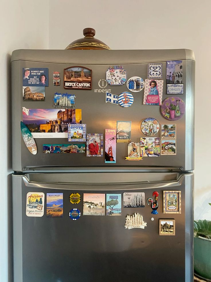 im&atilde;s de viagens na geladeira