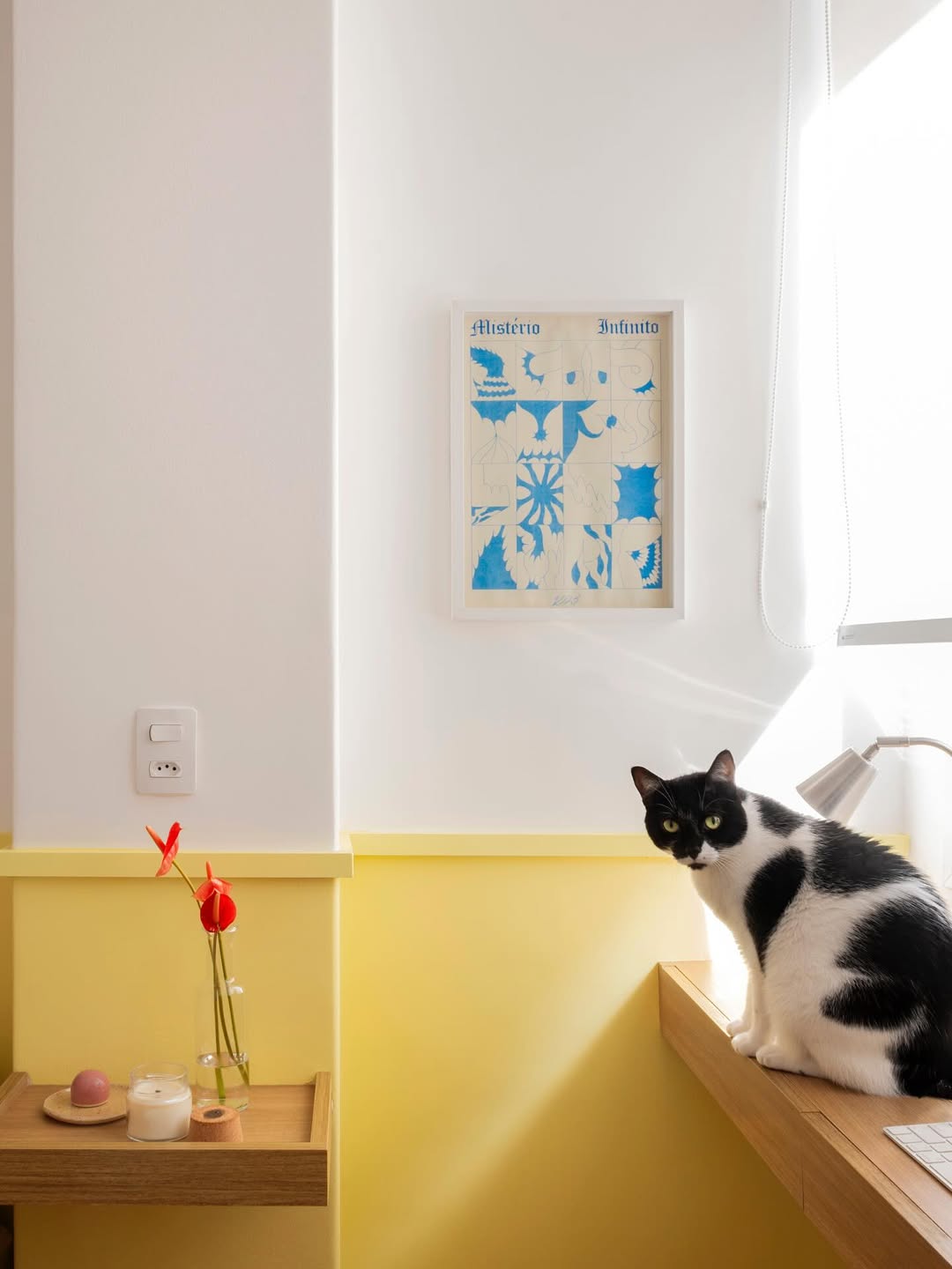 Parede com duas cores reflete a personalidade dos moradores