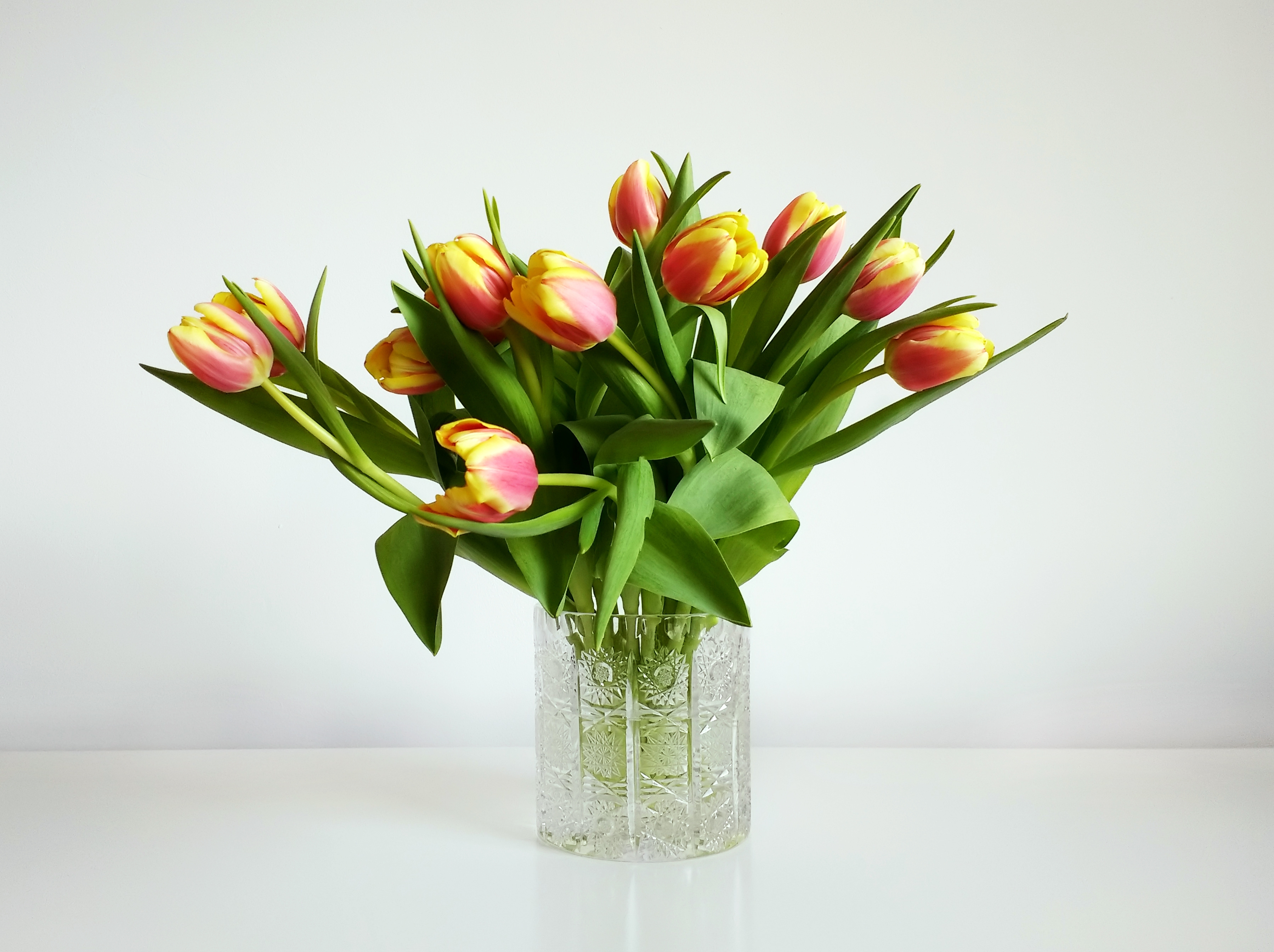 Flores para cultivar na primavera