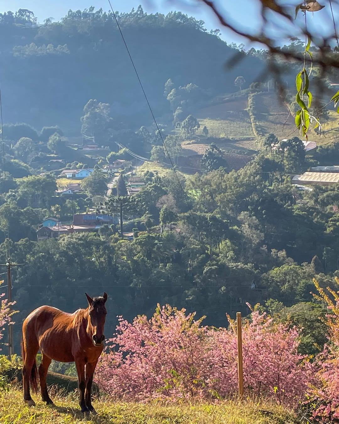 Gon&ccedil;alves, em Minas Gerais, &eacute; destino ideal para ir com amigas