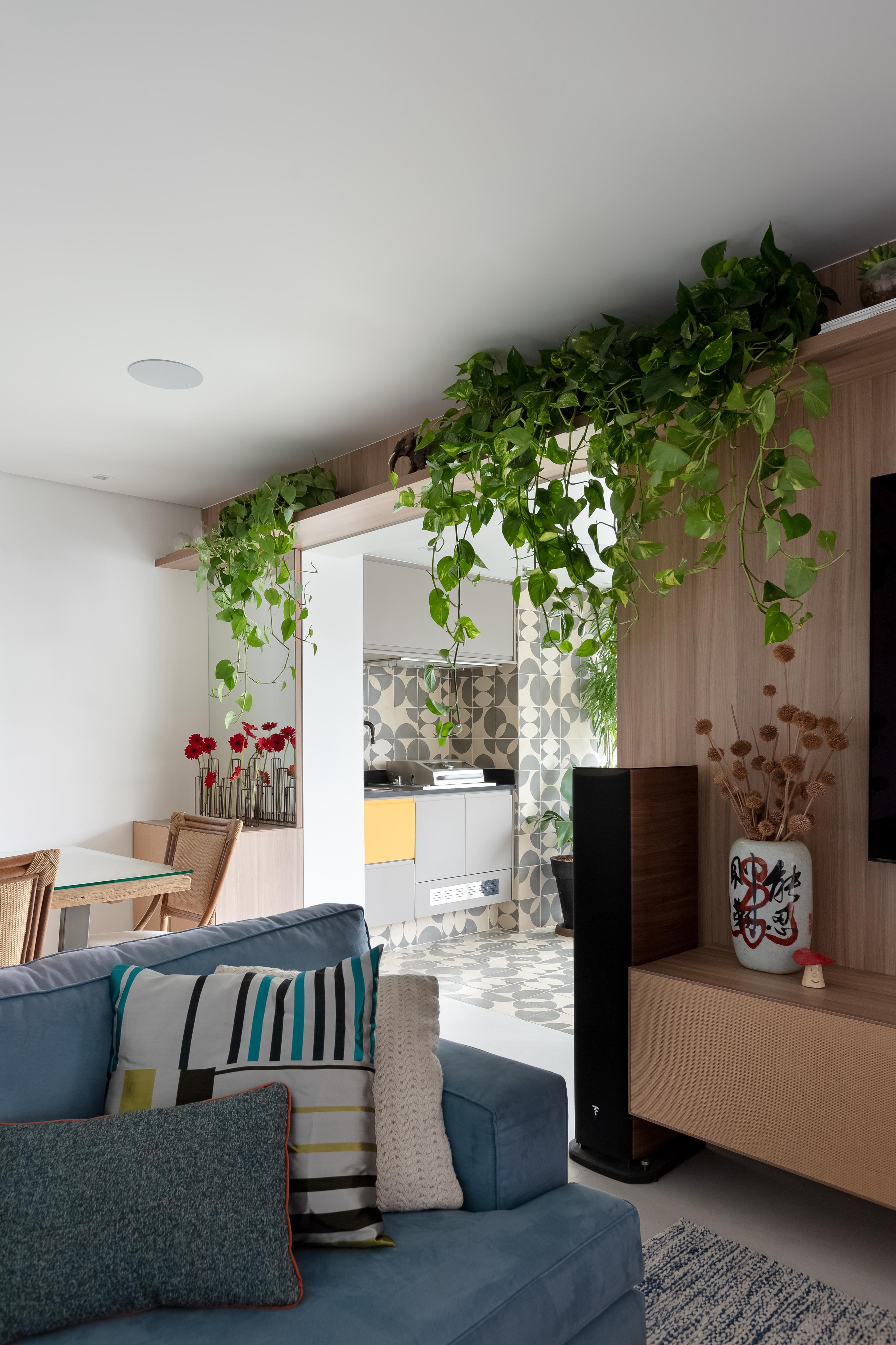 Plantas com efeito cascata trazem movimento e natureza para a casa