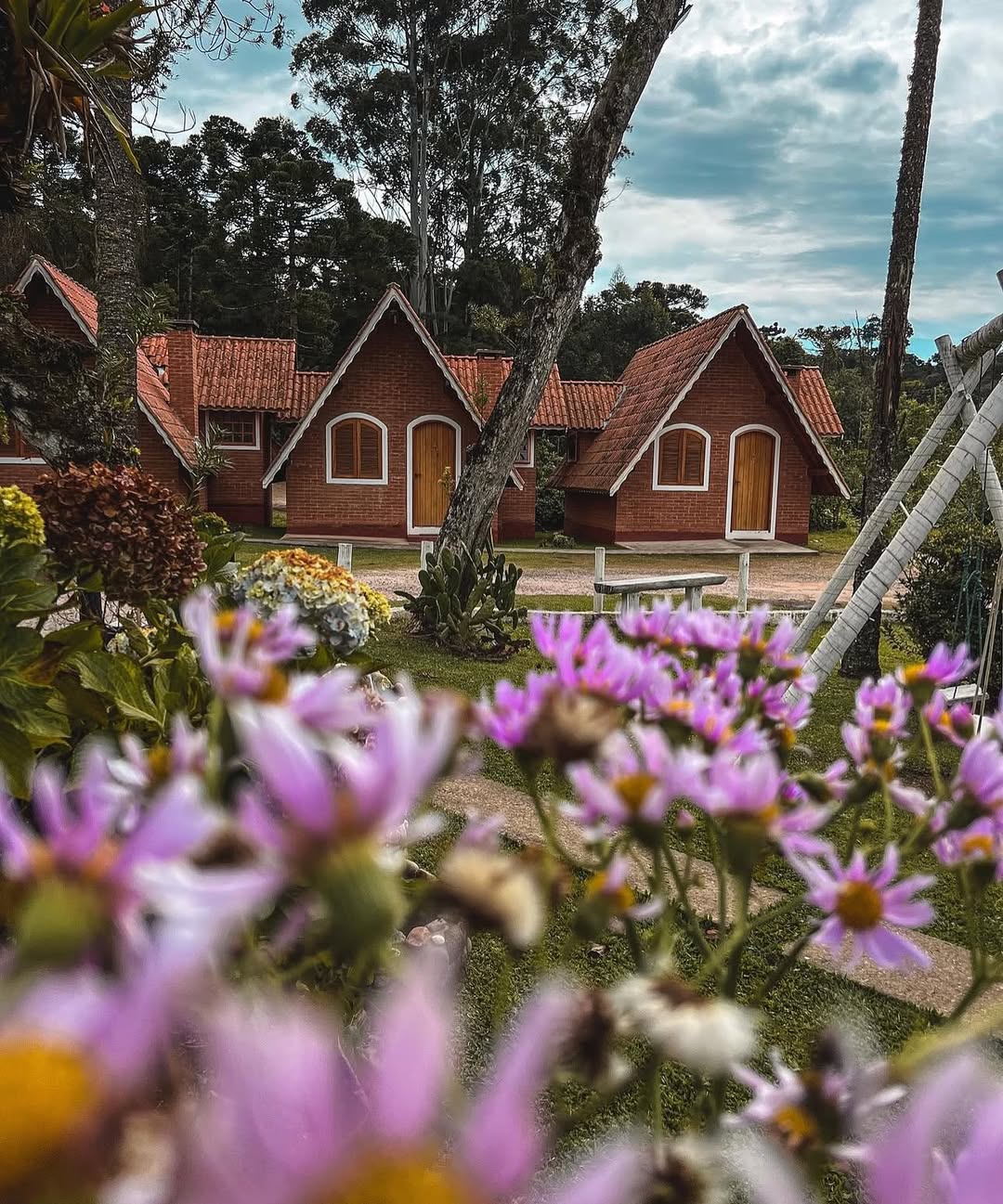 Foto da cidade de Monte Verde
