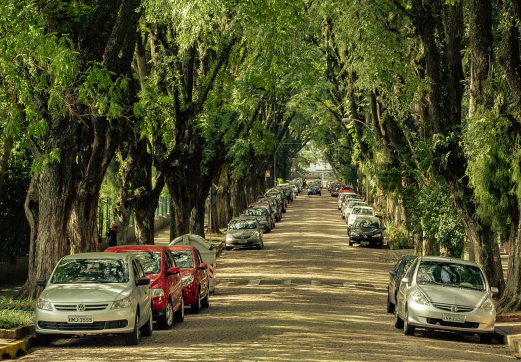A rua mais bonita do mundo fica no Brasil — saiba onde ela está e o motivo do título