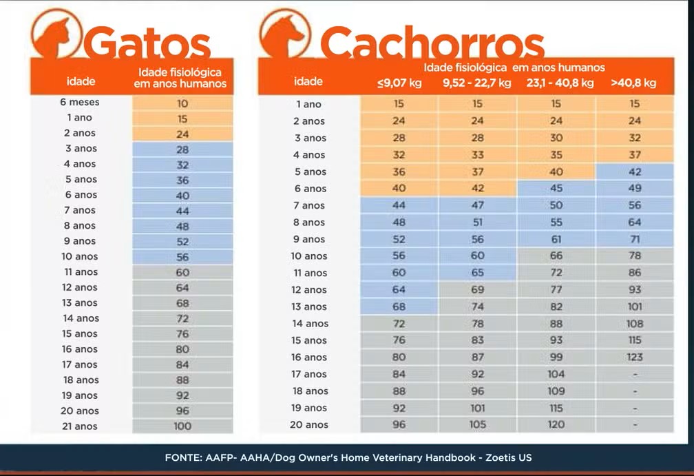 Tabela dividida entre cachorros e gatos, apontando calculos sobre tempo de vida dos pets em rela&ccedil;&atilde;o a humanos