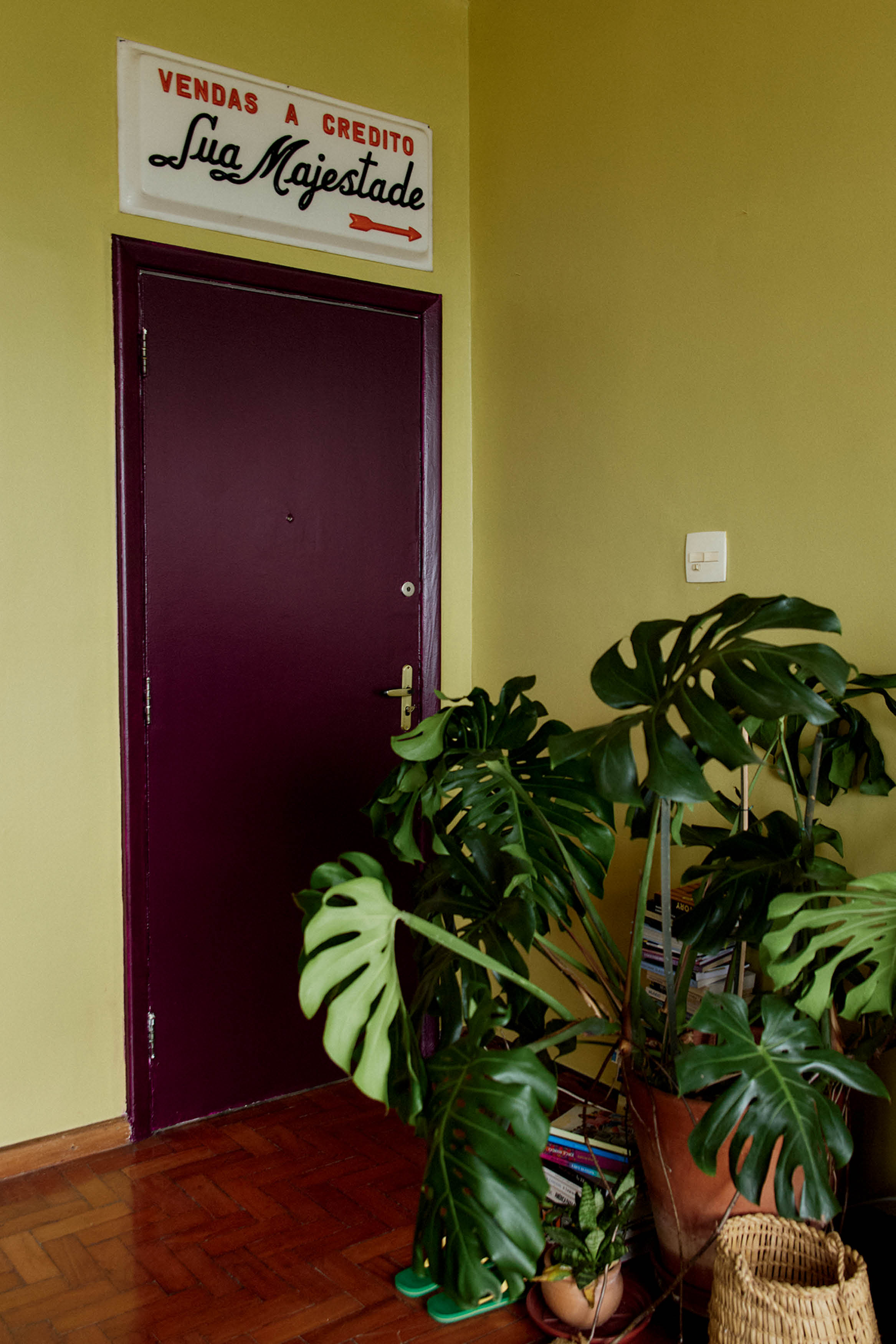 Canto de sala com porta de madeira, planta em caso e parede pintada de verde pistache.