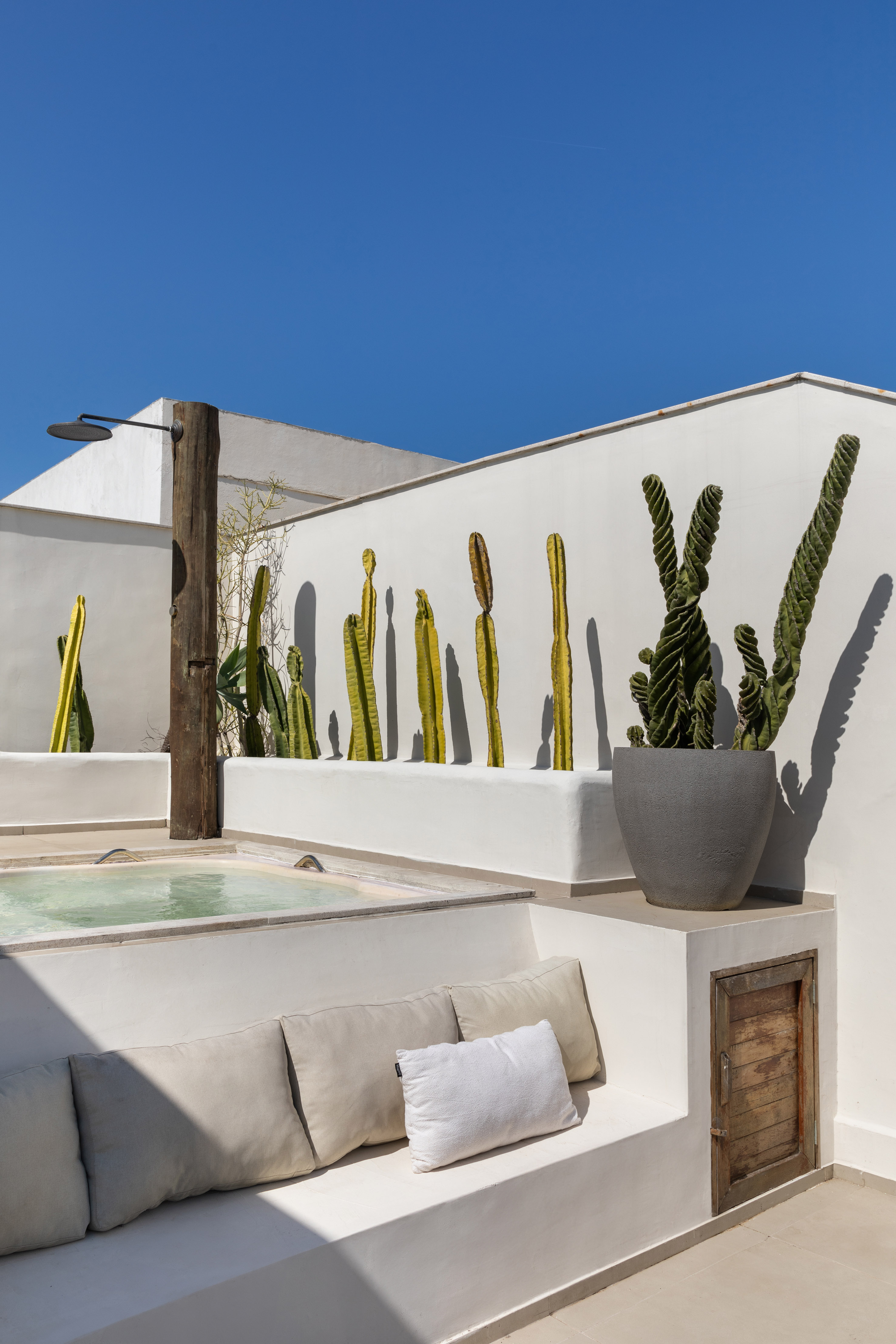 Foto de uma &aacute;rea externa, com piscina, e decora&ccedil;&atilde;o com cactos