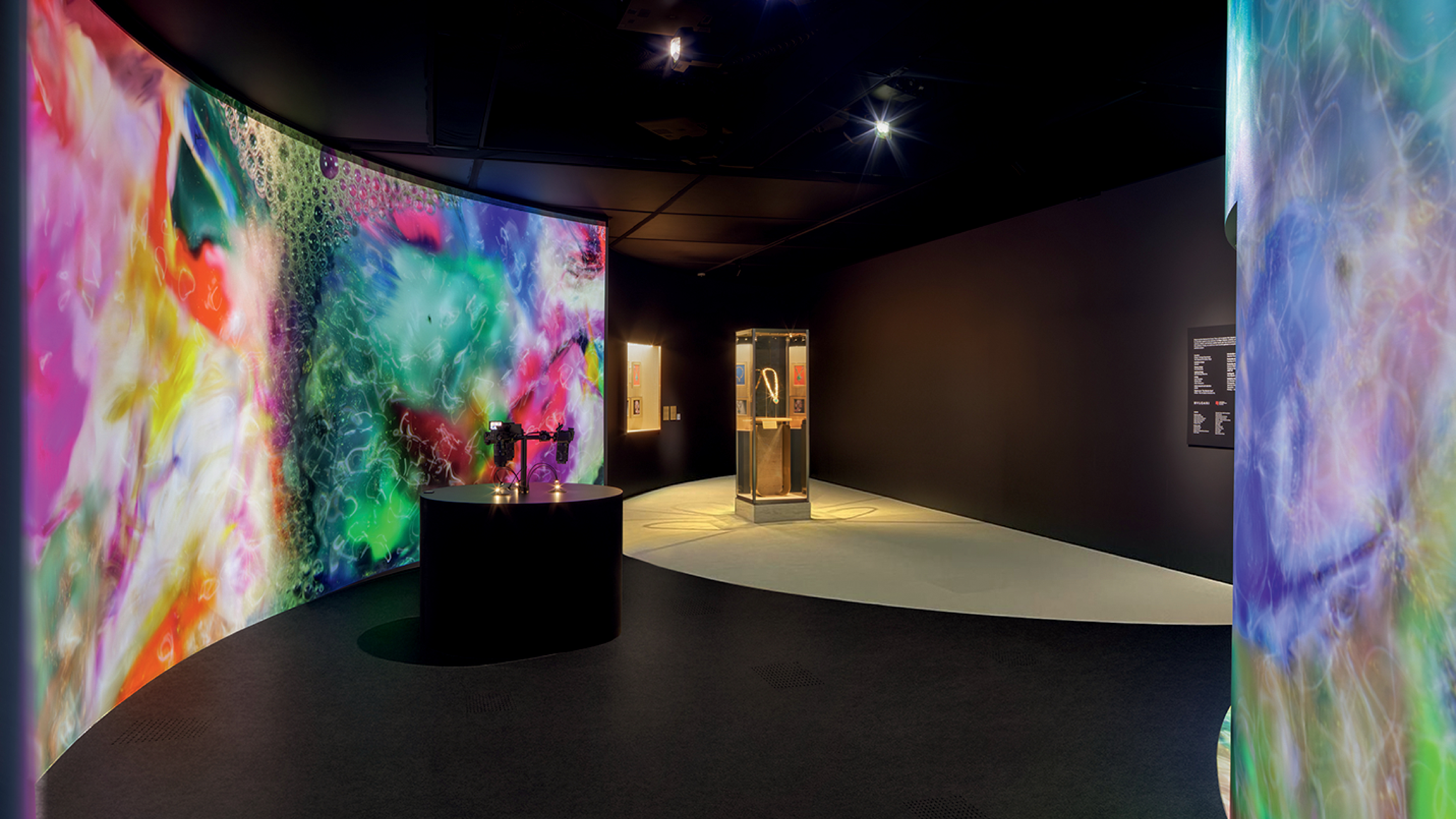 Exposi&ccedil;&atilde;o Kaileidos, no Jap&atilde;o