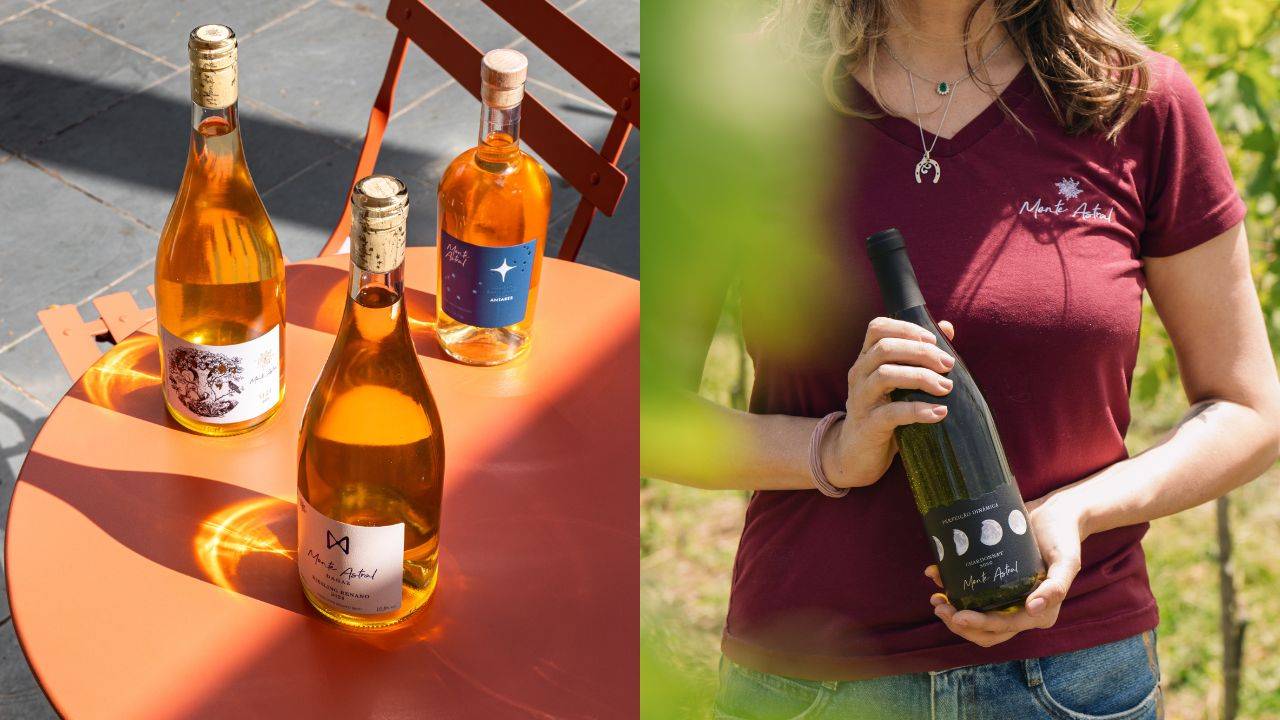 A vinícola do Sul que faz vinhos alinhados aos ciclos lunares