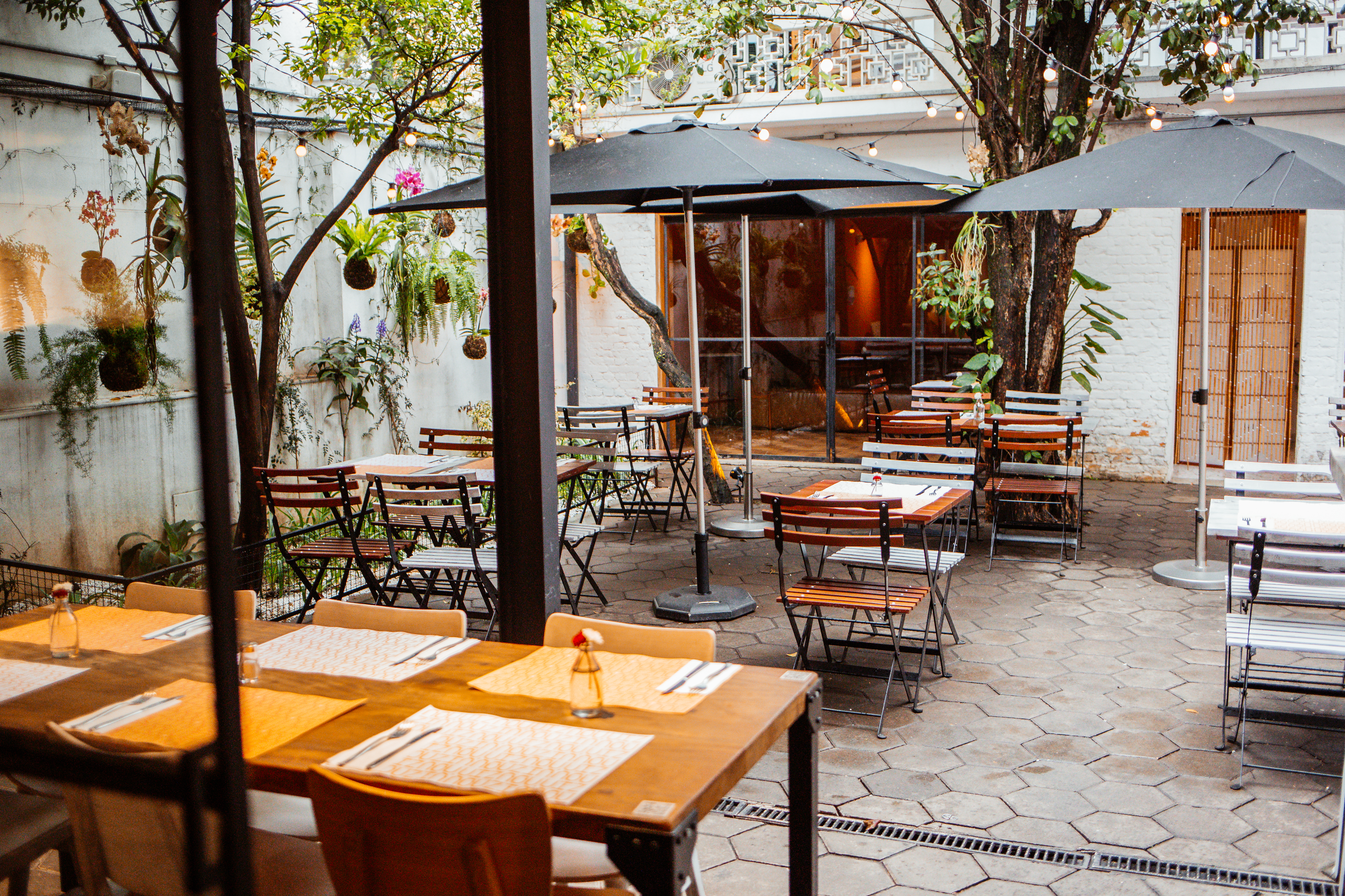 Restaurantes pet friendly em S&atilde;o Paulo