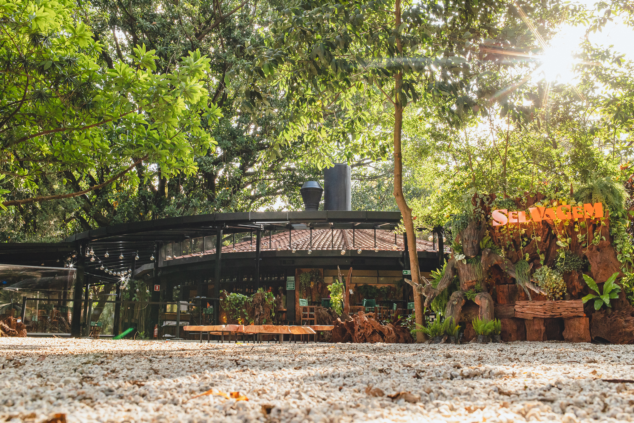 Restaurantes pet friendly em S&atilde;o Paulo