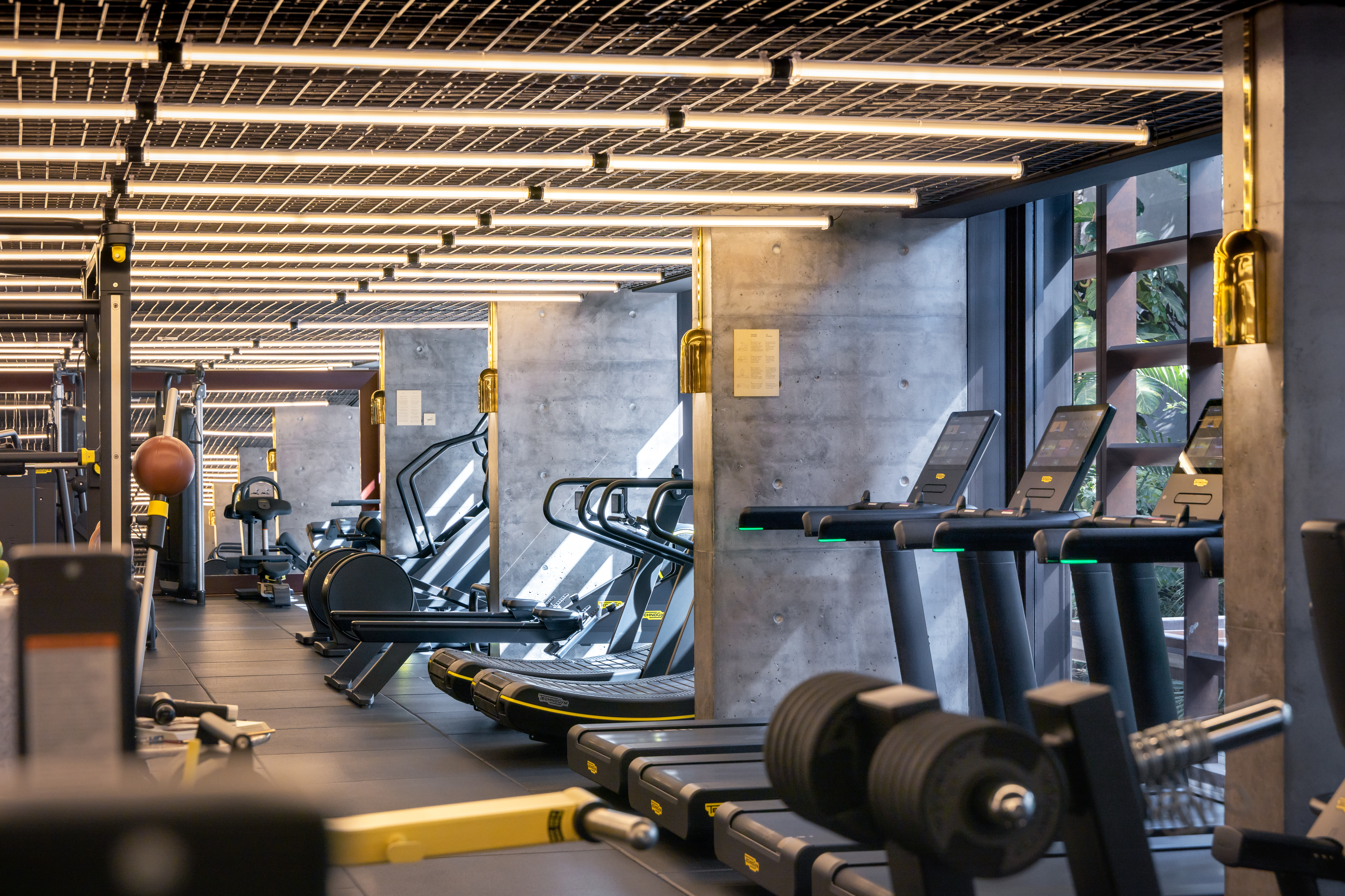 Área de musculação de academia