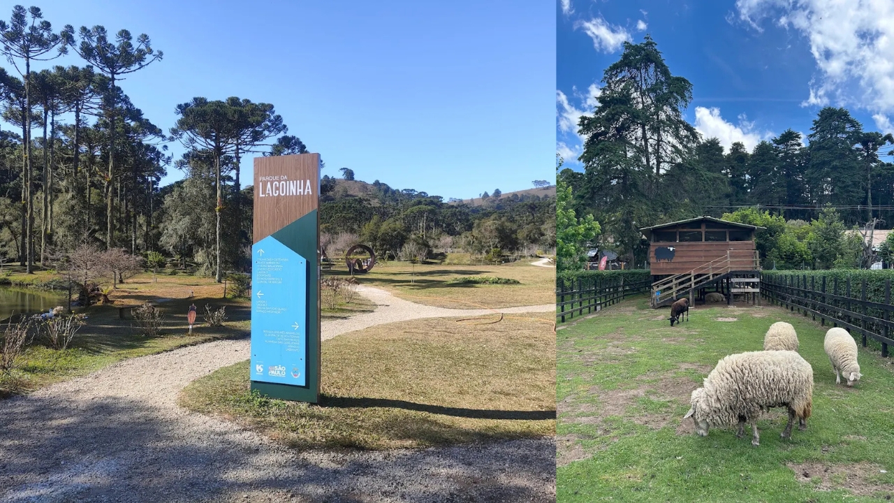 Parque com extenso gramado e ovelhas pr&oacute;ximas &agrave; viveiro