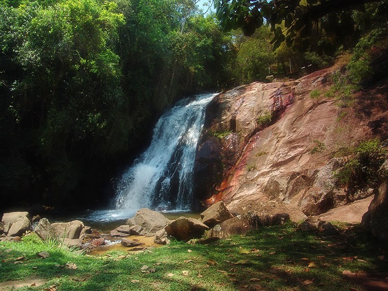 Cachoeira do Lageado em meio &agrave; mata, com queda d&rsquo;&aacute;gua e &aacute;rea verde para visita&ccedil;&atilde;o em Santo Ant&ocirc;nio do Pinhal.