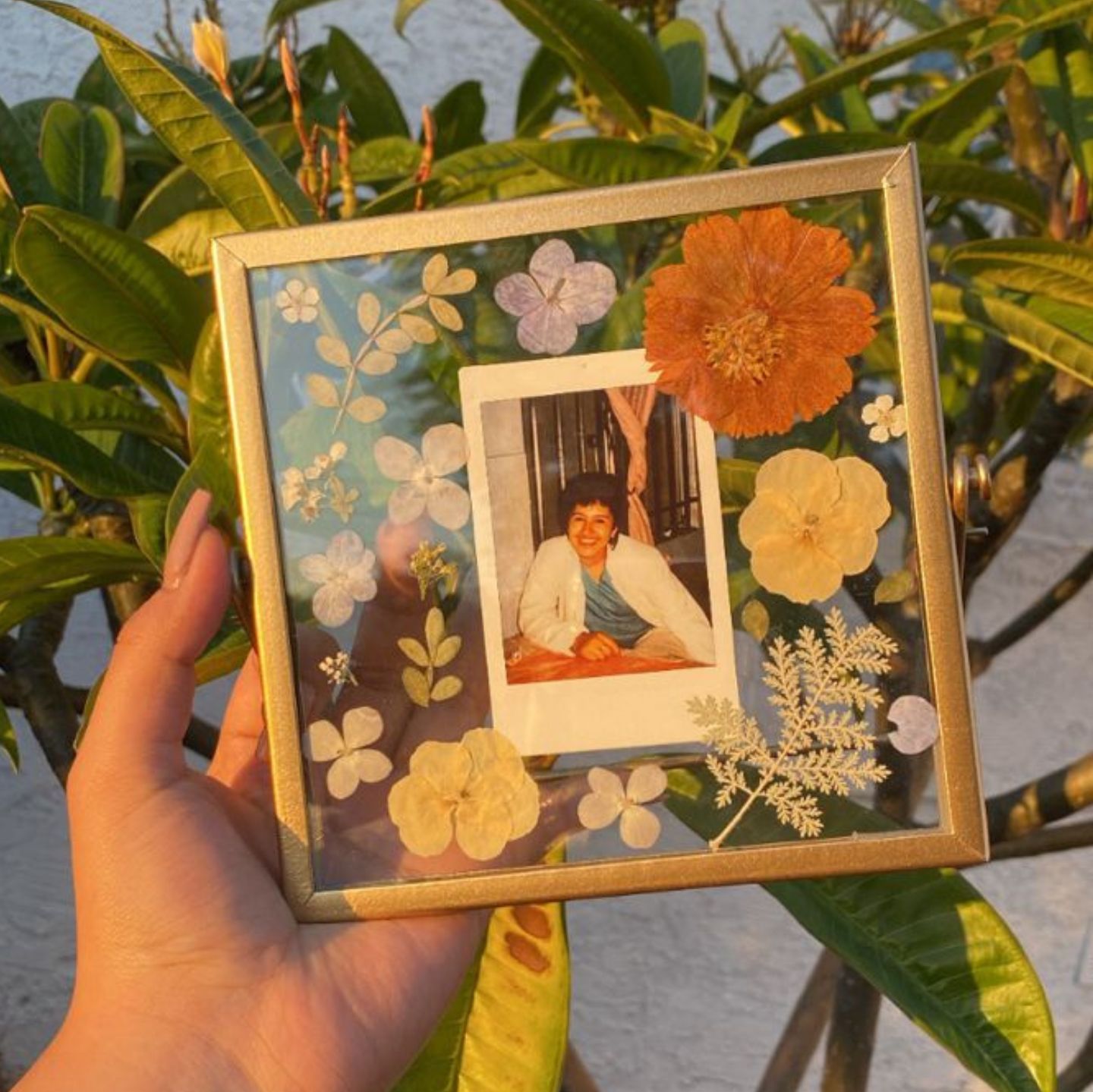 Foto de uma lembrancinha de dia das m&atilde;es. &Eacute; um quadro transparente com foto e flores secas
