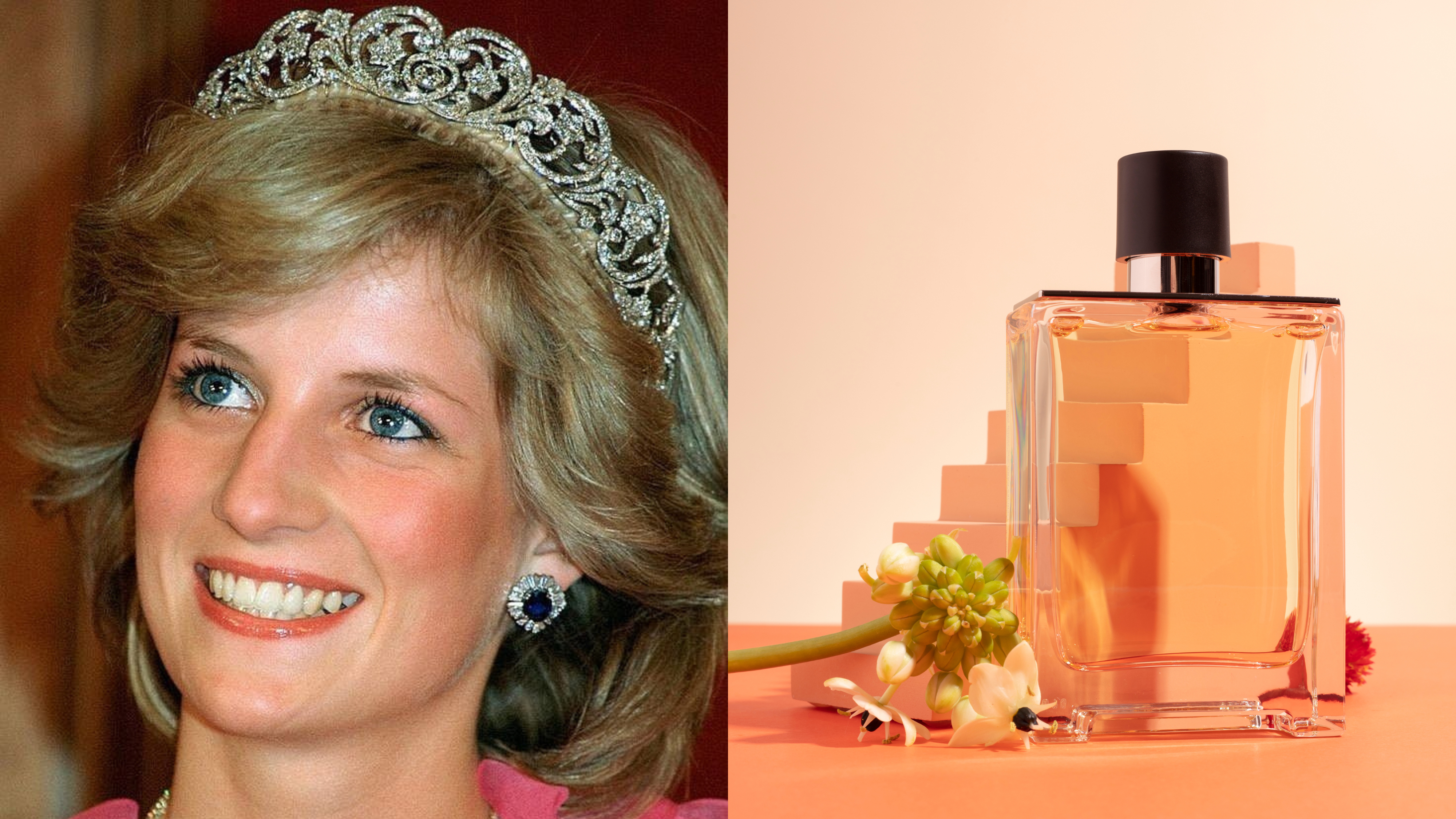 Os 5 perfumes que a Princesa Diana usava (e você ainda pode comprar)