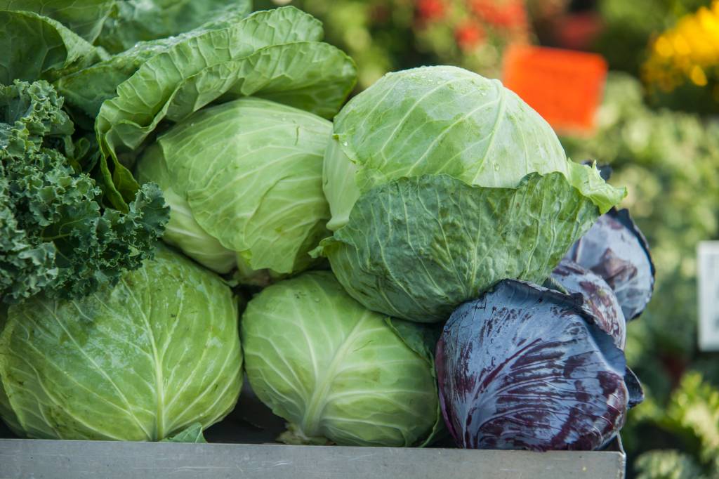7 receitas com repolho para aproveitar o ingrediente do momento